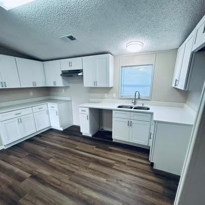 Modern kitchen with white cabinetry, dark wood flooring, and stainless steel appliances
